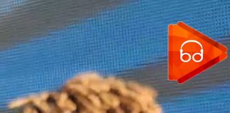 Basın Bülteni Dağıtım Hizmeti: İşletmenizi Geliştirin basın bülteni dağıtım konusunda uzman pr ajansı benidinlet.com.tr 'yi ziyaret edebilirsiniz.