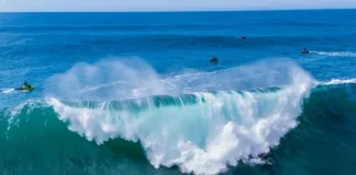 Denizden karbon çekme projesi başlıyor