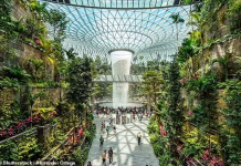 Kelebek bahçesi, çatı havuzu ve yağmur girdabıyla ‘dünyanın en iyisi’ seçilen havalimanı prestijli bir ödül kazandı