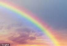 Bilim insanları popüler bir rengin var olmadığını ortaya koydu… Bu sadece beyninizin bir oyunu