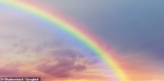 Bilim insanları popüler bir rengin var olmadığını ortaya koydu… Bu sadece beyninizin bir oyunu