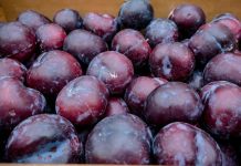 Eriklerden kimler uzak durmalı