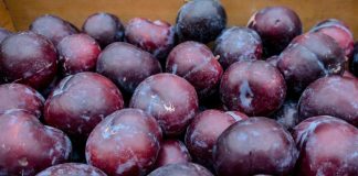 Eriklerden kimler uzak durmalı