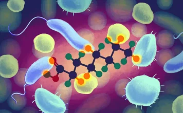 Sonsuza Dek Kimyasalları Yok Etmenin Yeni Bir Yolu